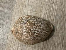 Antique Vintage Cowrie Sea Shell Lord's Prayer Our Father Carved Relief picture