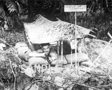 Soldier in Sniper Inn Foxhole 1944 World War II WWII WW2 8x10 Photo 84c picture