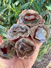 Nice Lot of (5) Polished Baker Ranch Thundereggs ~ New Mexico picture