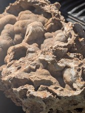 31 lb 14 oz Missouri Druzy Quartz Botryoidal Chalcedony on Agate Matrix picture