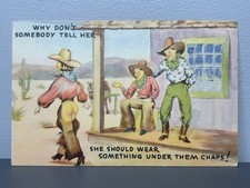 Vintage Post Card Comic Somebody Tell Her She Should Wear Something Under Chaps picture