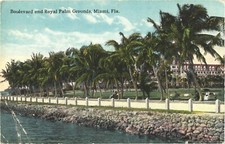 Miami FL Boulevard & Royal Palm Grounds Hotel Divided Back Postcard c1910 Unused picture