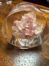 Vintage Japanese Real Cherry Blossom Sakura Paperweight Kiyomizu Temple Kyoto Do picture