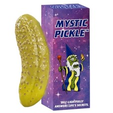 DR DINGUS Mystic Pickle Magic Fortune Teller 100 Responses 5