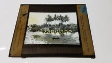 OGK Glass Magic Lantern Slide Photo PANAMA PACORA COCONUT TREES TYPICAL picture
