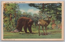 Little Deer Bear Behind 1946 Linen Humor Postcard Posted Fort Frances Ontario picture