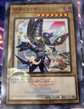 Yu Gi Oh World Championship 2026 Clear File Black Magician picture