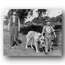 Tommy Kirk, Kevin Corcoran Photo 8x10 Old Yeller 1957 Movie Still Boys picture
