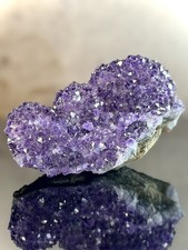 Uruguayan Amethyst Flower — Deep Purple Double-Lobed Rosette from Artigas picture