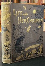 Antique Decorative Book 1881 First Edition Gilt Illustrated Natural History picture