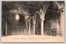 Salle des Etats Generaux Louis XII Wing Chateau de Blois France Postcard picture