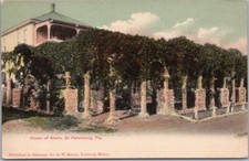 c1900s ST. PETERSBURG, Florida Postcard