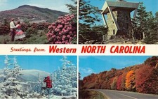 Postcard NC: Greetings from Western North Carolina, Multiview, Unposted picture