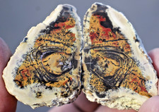 Pair of Polished Utah Tiffany Stone • 104 grams/3.6 oz. picture