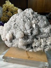 Columnar Calcite Fujian Province Freeform mineral specimen on acrylic stand picture