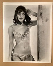 Bikini pinup photo sexy British actress Rosemary Dexter “House of Cards” 1968 picture