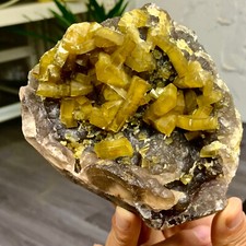 2.58LB Natural picture