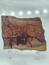 Genuine Australian Mookaite Polished Slice - Earthy Abstract Pattern Stone picture