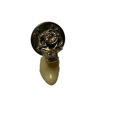 Vintage BPOE Order of The Elks Lodge Elk Simulated Tooth Lapel Pin Pinback Tie picture