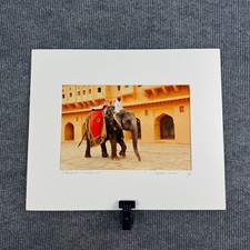 Elephant at Amber Fort Jaipur India Original Photograph Signed John Hutchinson picture