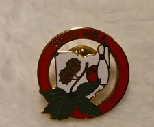 Vintage Ohio W.B.A. Women's Bowling Association Buckeye Pin picture
