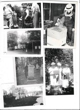 14 1940s Beekeeping Photo Snapshot Lot Apiary Beekeeper Vintage Hive Bees picture
