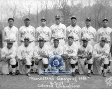 HOMESTEAD GRAYS 1931 NEGRO LEAGUE BASEBALL PLAYERS STARS CHAMPIONS 8X10 PHOTO picture