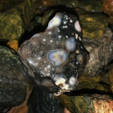2000 Carat Lots of Ocean Jasper Rough + a FREE Faceted Gemstone picture