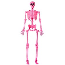 JOYIN 5 FT Halloween Skeleton Life Size, Stayable Posable Pink Skeleton Decor, F picture
