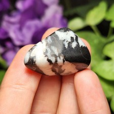 Zebra Jasper picture
