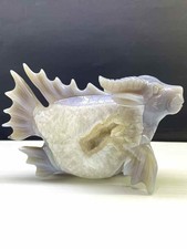 1pc Natural Geode Agate Quartz Hand Carved Buffalofish Skull Crystal Reiki Decor picture