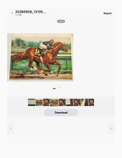 Easy Goer Horse Racing Art Print on Paper, Limited Edition w/ Affidavit picture