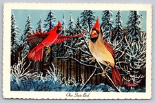 1967 Ohio State Bird Cardinal Winter Art Postcard by Ken Haag Unposted picture