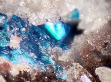 DIABOLEITE, WILLEMITE - Mammoth St-Anthony Mine, Tiger, Pinal County, ARIZONA picture