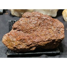 Gem Bone W/ Agatization Specimen Natural Form  (10oz) picture