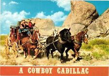 Vintage Postcard 4x6- Cowboy's Cadillac UnPost 1960-80s picture