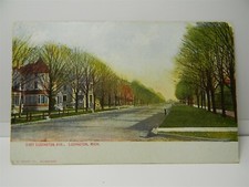 Vintage c 1910 East Ludington Ave Street View Ludington Mi. Postcard P19 picture