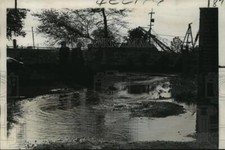 1973 Press Photo Audubon Park - Flooding Caused by Water Under Levee - noa23090 picture