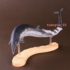 PNSO Basilosaurus Prehistoric Marine Mammal Model Toy Collect 50cm Gift picture