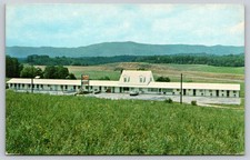 Natural Bridge VA Friendship Inn Fancy Hill Motel VTG c1960s UNP Postcard H2 picture