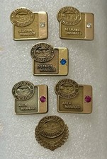 Lot 6 Vintage Nature’s Sunshine Manager Rank Pins 10K GF Diamond Ruby Sapphire picture