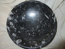 XTRA LARGE 9.5