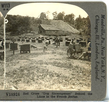 WW1, Red Cross Dog Encampment, Behind Lines, France-Keystone Stereoview W113 picture