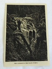 1883 magazine engraving ~ THE CASCADE IN THE BLACK FOREST, Germany picture
