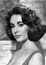 5X7 PUBLICITY PHOTO - ELIZABETH TAYLOR LEGENDARY ACTRESS (BB-896) picture