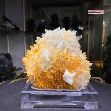 2.8LB  Natural Golden Chrysanthemum Quartz Cluster withCalcite Mineral Specimen picture