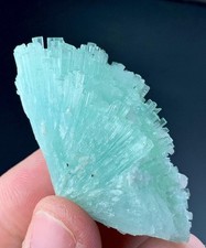 135 Carat Tourmaline Crystal  From Afghanistan picture