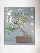 Bonsai Spring Summer Fall Winter picture