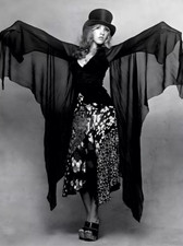Stevie Nicks High Quality Metal Fridge Magnet 3x4 7228 picture