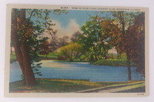 View In Glen Flora Country Club, Waukegan, Illinois Vintage Linen Postcard W.954 picture